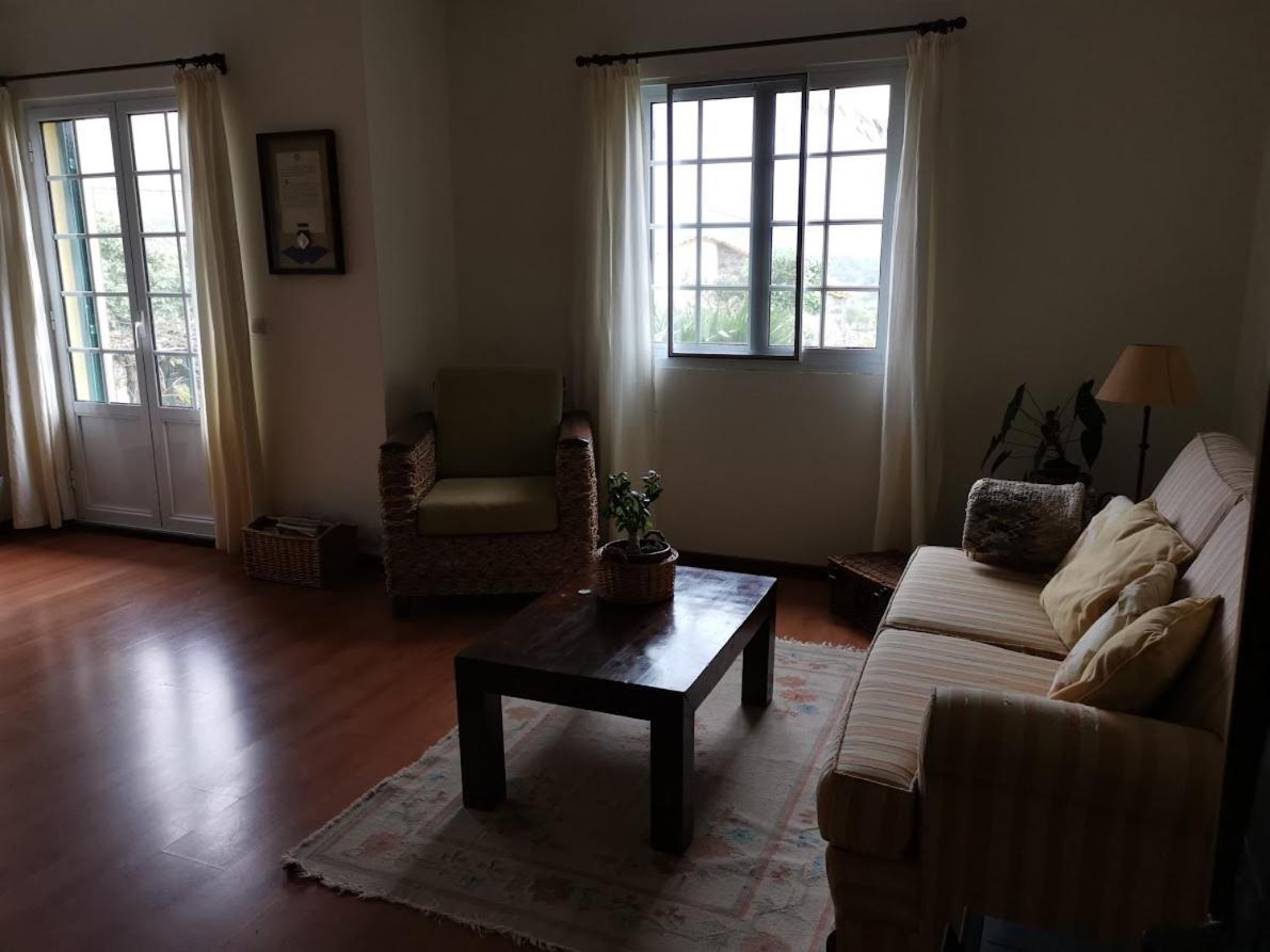 Casa Das Palmeiras Sao Vicente Ferreira Ngoại thất bức ảnh